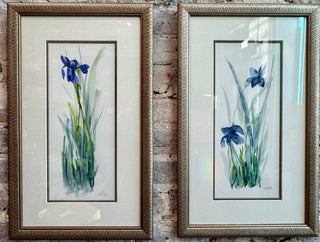 Pair Blue Iris Original Watercolor By Terri Hall