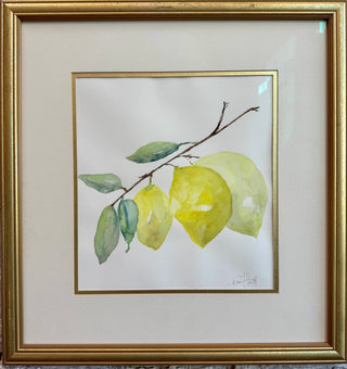 A Zest Of Three By Terri Hall