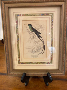 Vertical Bird and Botanical Print