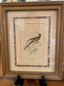 Vertical Bird and Botanical Print