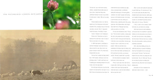 The French Laundry Cookbook.