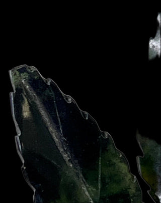 Alabaster Plum with Jade Leaves