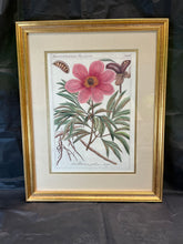 Load image into Gallery viewer, Vintage Botanical Prints
