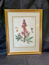 Load image into Gallery viewer, Vintage Botanical Prints
