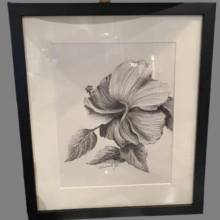 Hibiscus  Study By Clara Gutierrez