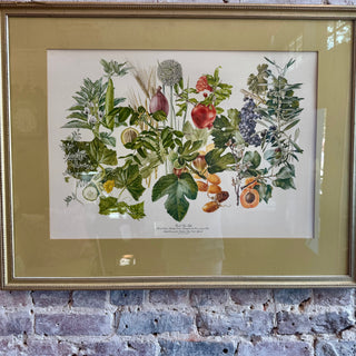 Vintage "Food For Life" Print By Anne Ophelia Dowden