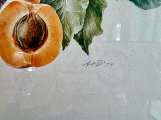 Vintage "Food For Life" Print By Anne Ophelia Dowden