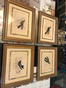 Horizontal Bird and Botanical Prints