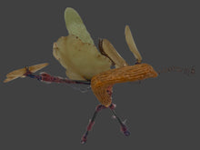 Load image into Gallery viewer, Antique Alabaster Jade Cucumber
