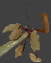 Load image into Gallery viewer, Antique Alabaster Jade Cucumber
