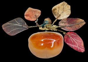 Alabaster Persimmon