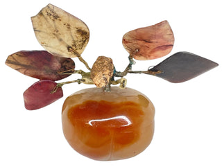 Alabaster Persimmon