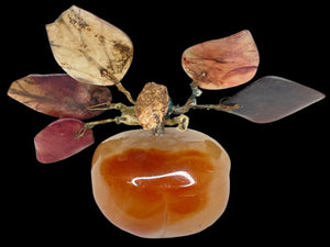 Alabaster Persimmon