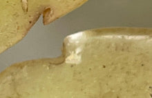 Load image into Gallery viewer, Alabaster Fruit
