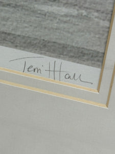 'On the Dan #1' Framed Print by Terri Hall