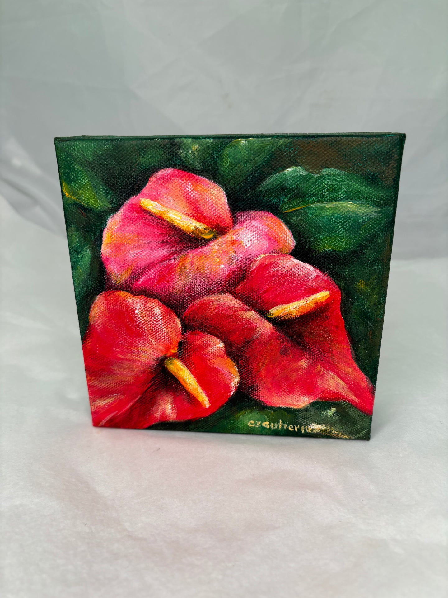 Anthuriums - Clara Gutierrez