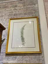 Load image into Gallery viewer, Terri Hall Ferns 1
