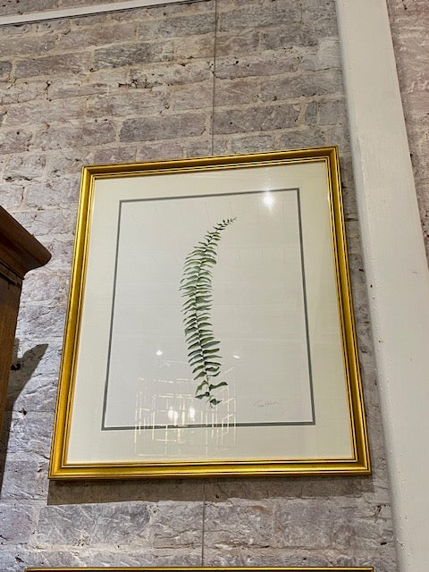 Terri Hall Ferns 1