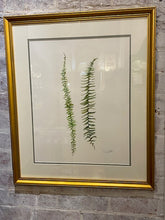 Load image into Gallery viewer, Terri Hall Ferns 2

