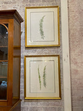 Load image into Gallery viewer, Terri Hall Ferns 1
