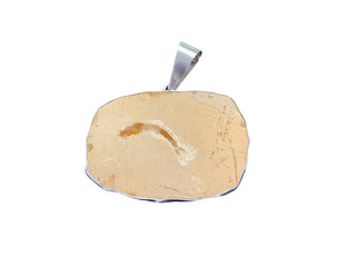 Sterling Silver Charles Albert Knightia Fish Pendant