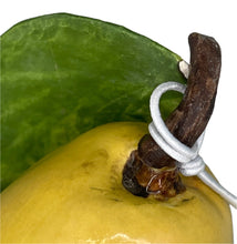 Load image into Gallery viewer, Mary Kirk Kelly Yellow Pear
