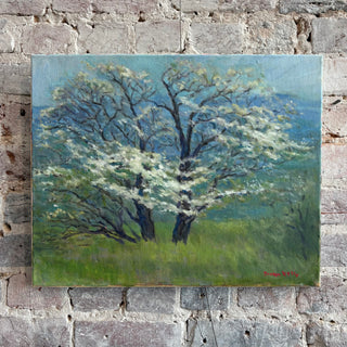 Dogwoods in Bloom