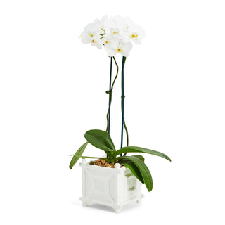 White Faux Bamboo Fretwork Cachepot