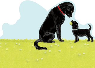Caspari Greeting Cards