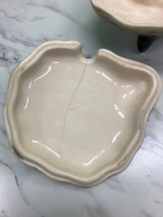 Oyster Shell Dish