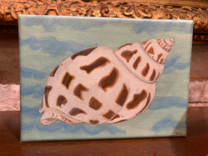 IBIS Original Acrylic Spotted Babylon
