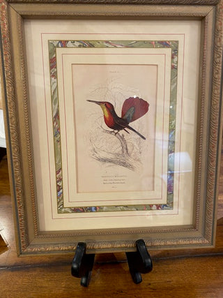 Vertical Bird and Botanical Print