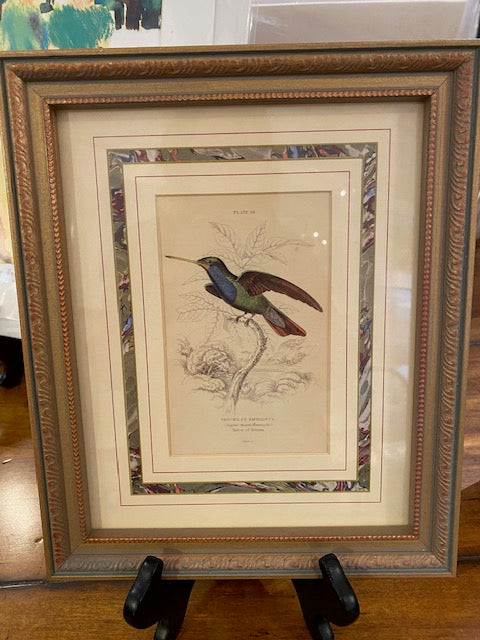 Vertical Bird and Botanical Print