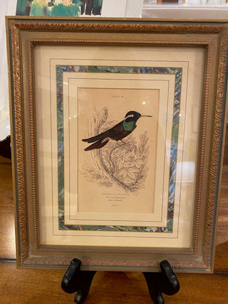 Vertical Bird and Botanical Print