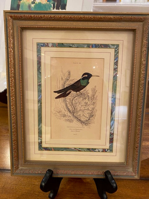 Vertical Bird and Botanical Print