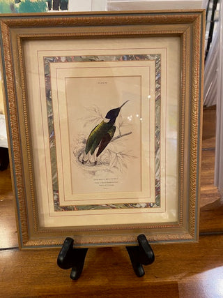 Vertical Bird and Botanical Print