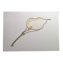 Load image into Gallery viewer, Ibis Hand Drawn Blank Notecard - Peace
