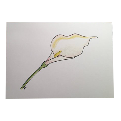 Ibis Hand Drawn Blank Notecard - Peace