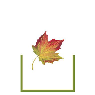Maple Leaf Die Cut Place Cards - Chestnut Lane Antiques & Interiors - 1