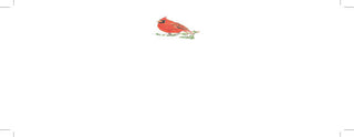 Ibis Flat Note Cards & Envelopes