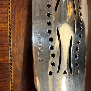 Silver Plate  Bone Handle Fish Server