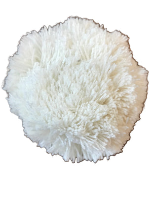 Vail Pom-Pom - Ivory